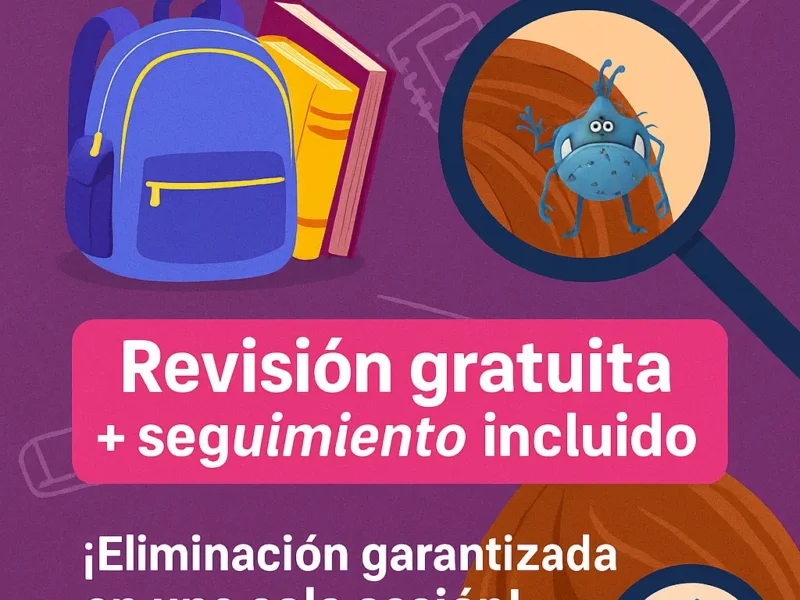 Piojos en la vuelta al cole: cómo prevenir contagios masivos desde el primer día